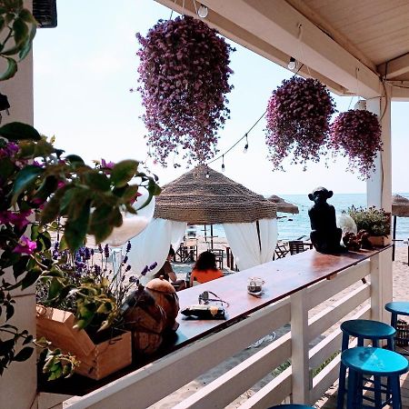 B&B Purple Italy Fiumicino Exterior foto